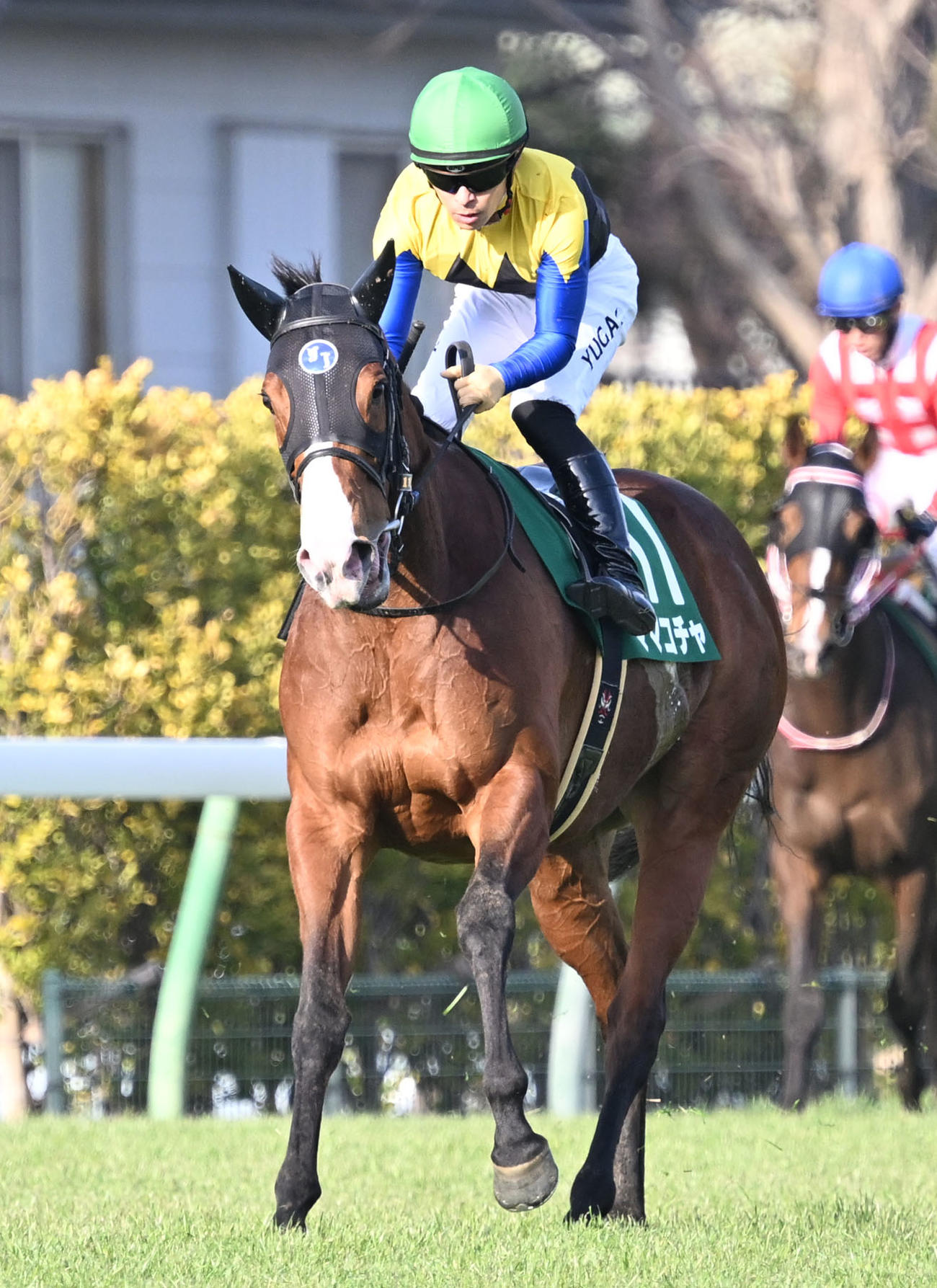 オーシャンSを制したママコチャと川田騎手（撮影・千葉一成）