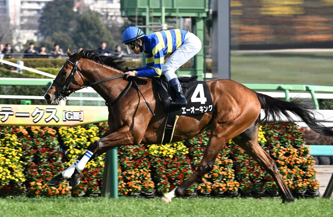 中山9R、水仙賞を制したエーオーキングと田辺騎手（撮影・千葉一成）