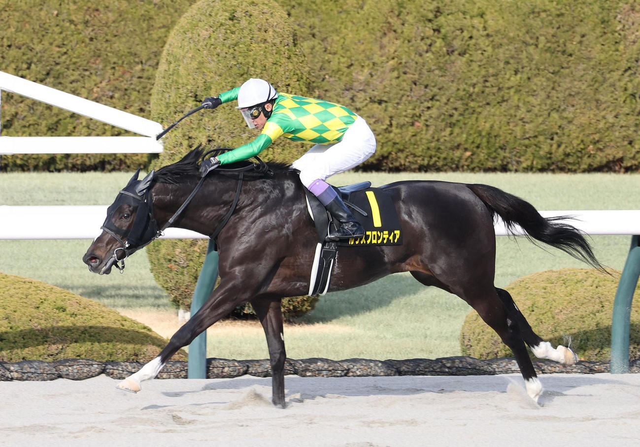 阪神11R、直線抜け出して仁川Sを制したルクスフロンティア（撮影・白石智彦）
