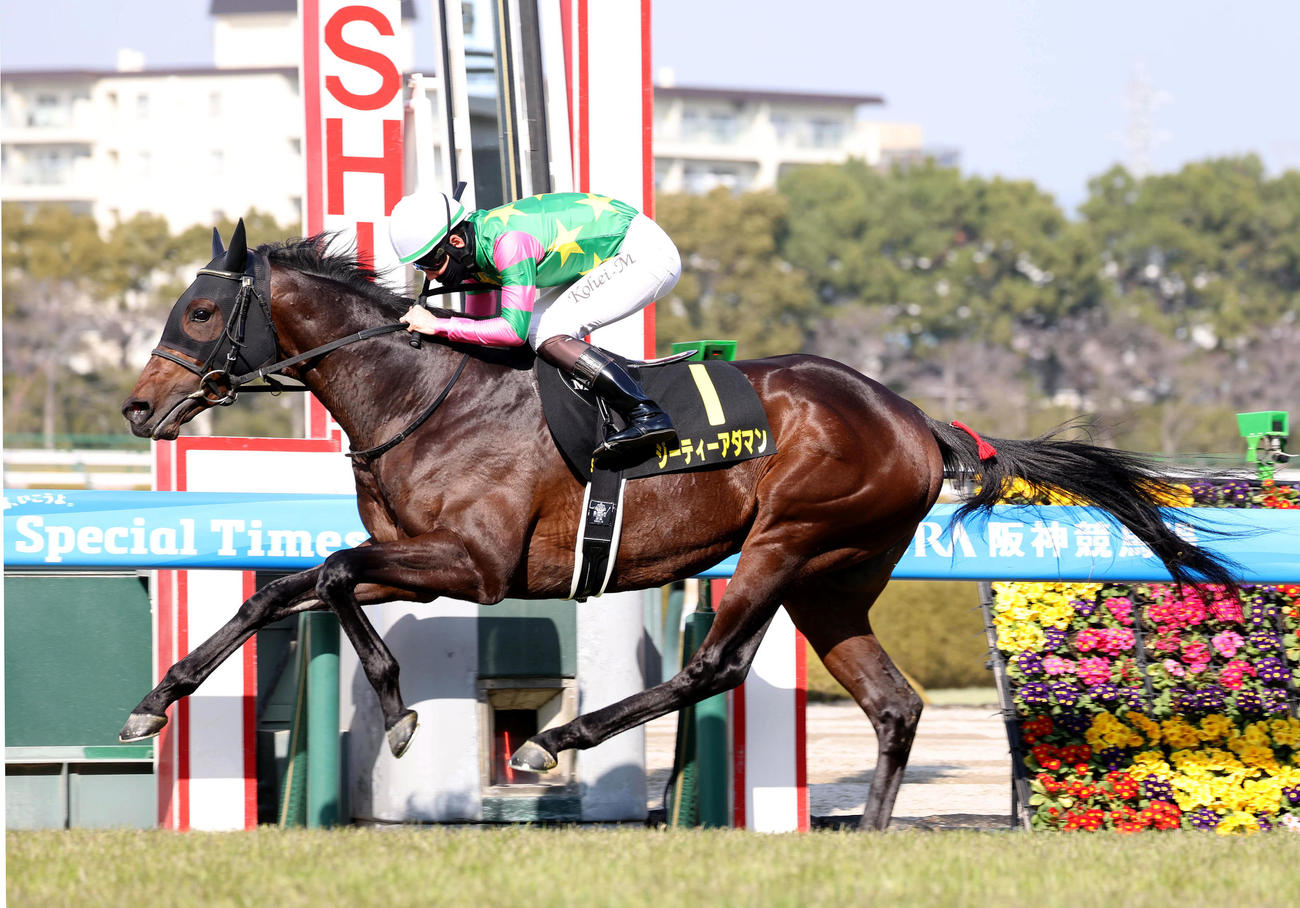 阪神9R、逃げ切ってすみれSを制したジーティーアダマン（撮影・白石智彦）