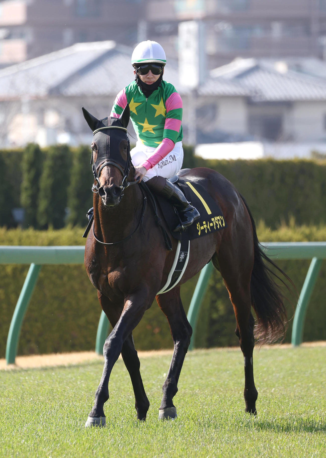 阪神9R、すみれSを制したジーティーアダマン（撮影・白石智彦）