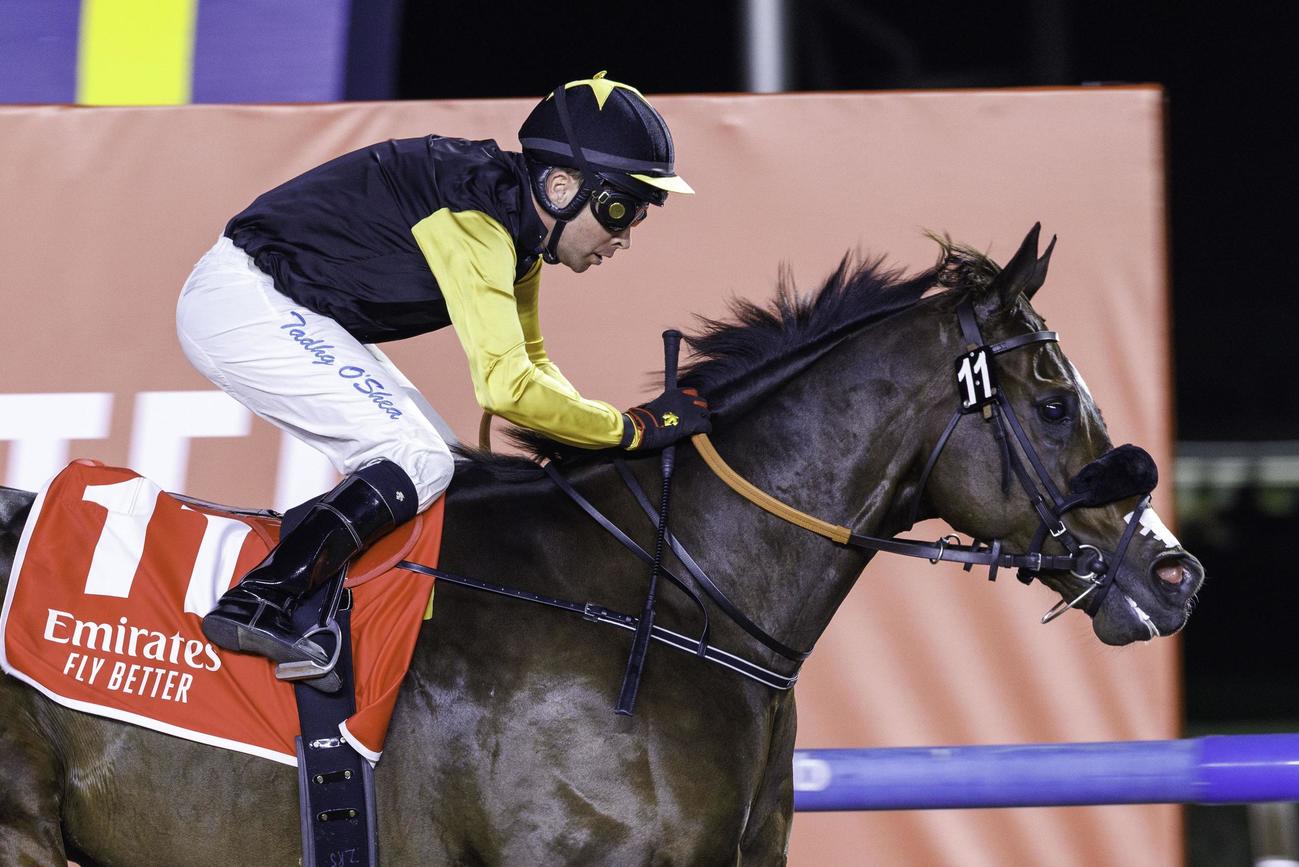 マハブアルシマールを制したタズ（C）Dubai Racing Club