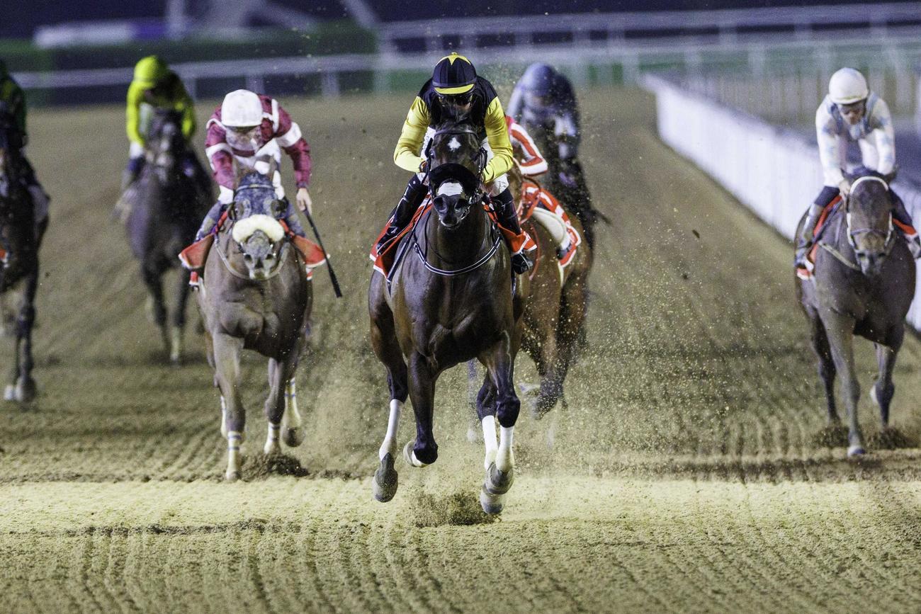 マハブアルシマールを制したタズ（C）Dubai Racing Club