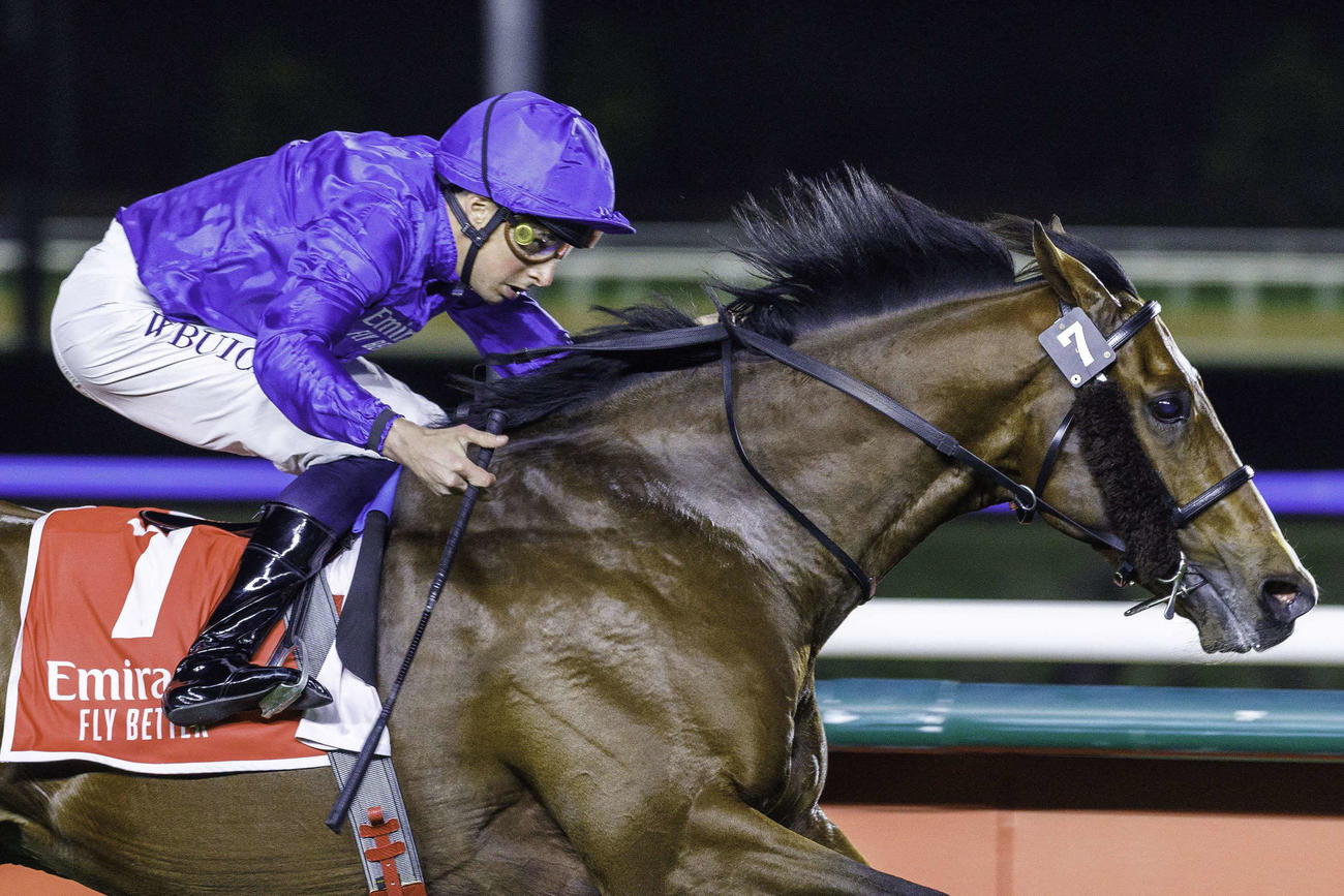 シングスピールSを制したネーションズプライド（C）Dubai Racing Club
