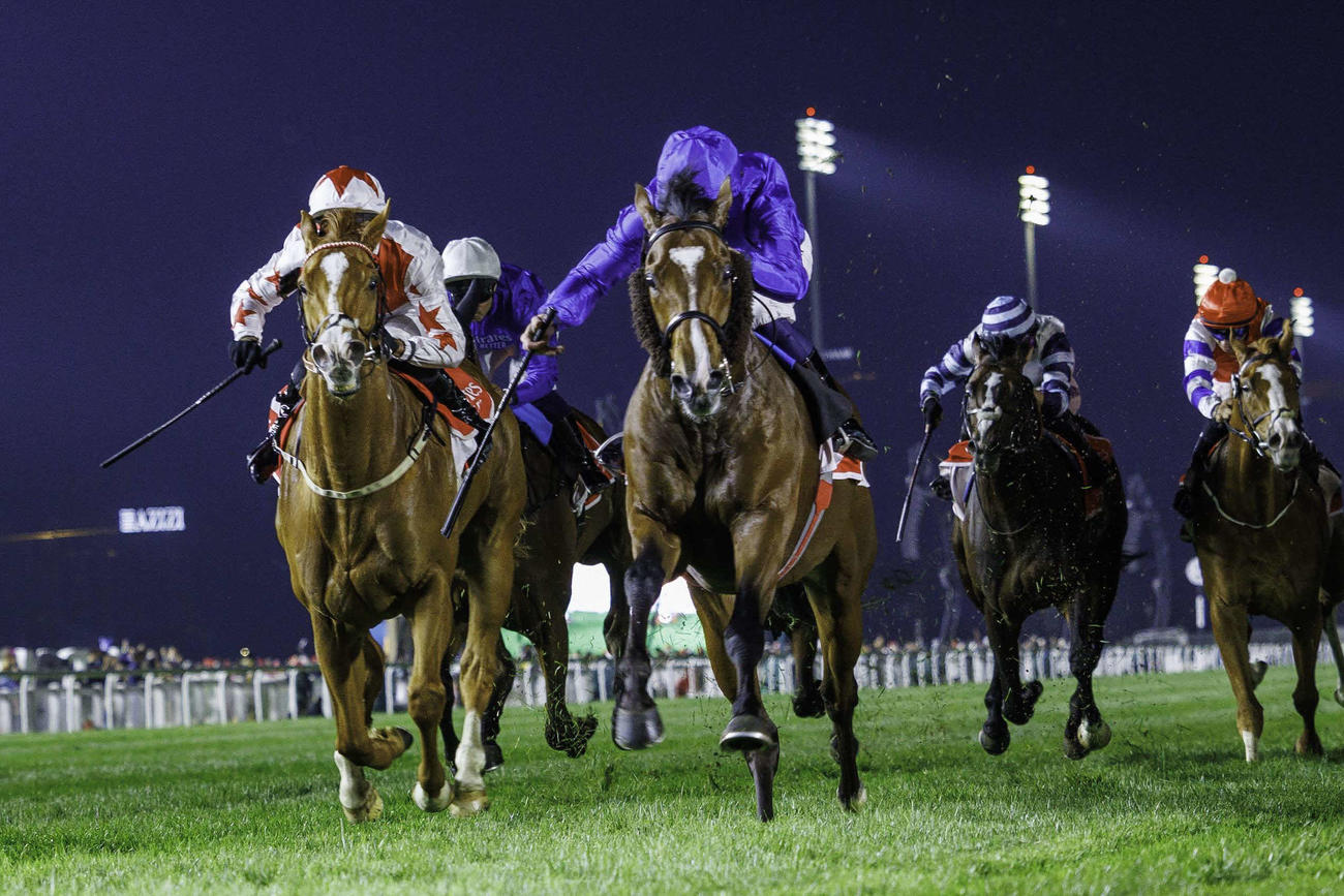 シングスピールSを制したネーションズプライド（C）Dubai Racing Club