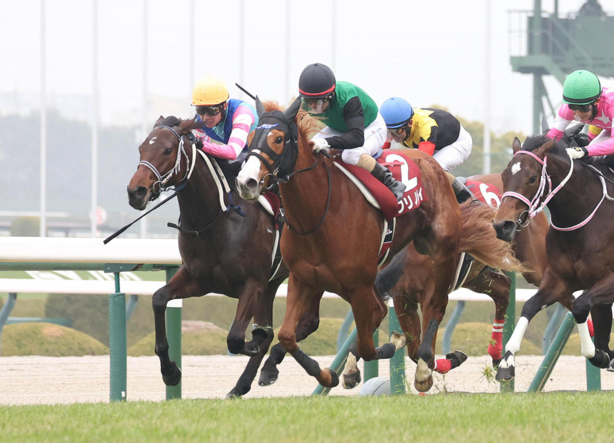 チューリップ賞2着に敗れたウォーターガーベラ（左）。中央は勝ったクリノメイ（撮影・白石智彦）