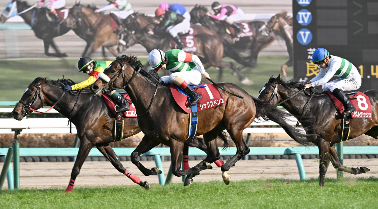 中山記念を制したシックスペンス（中央）2着エコロヴァルツ（左）3着ソウルラッシュ（撮影・千葉一成）