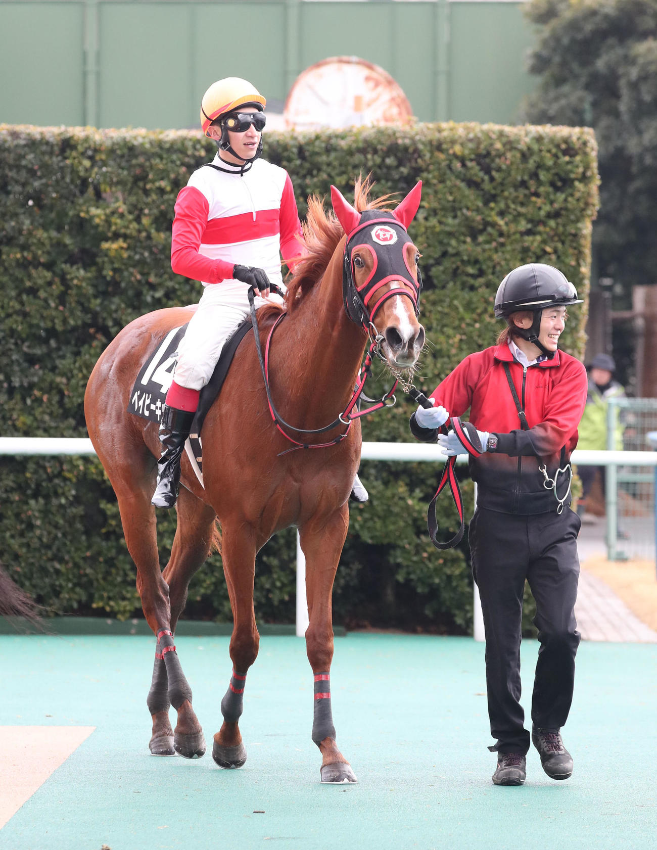 ベイビーキッスと菊沢騎手（撮影・梅根麻紀）