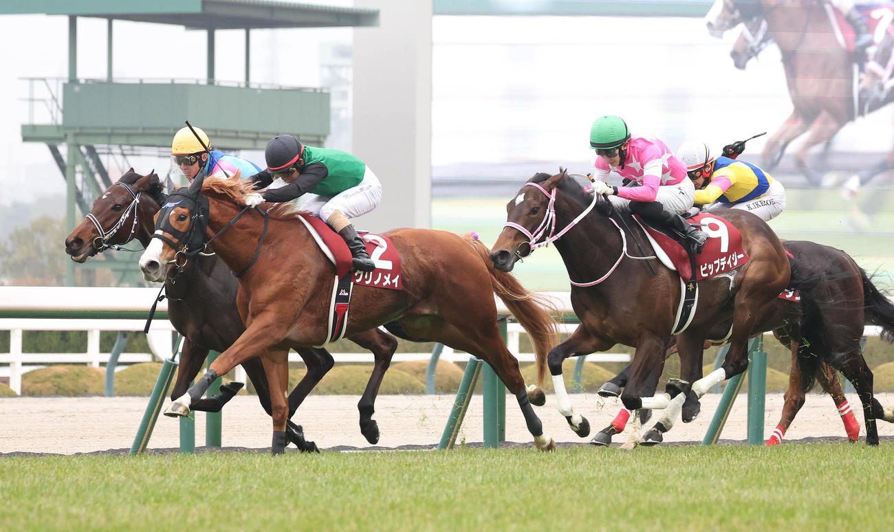阪神11Rチューリップ賞、3着に敗れたビップデイジー（右から2頭目）（撮影・白石智彦）