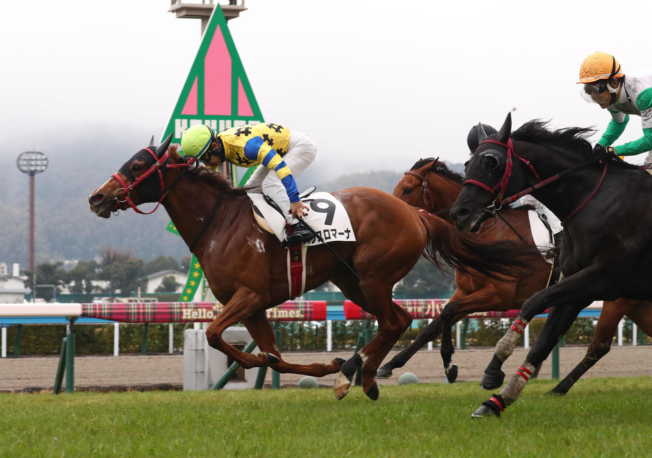 小倉7Rで1着となった藤沢厩舎のパクスロマーナと川須騎手（撮影・梅根麻紀）