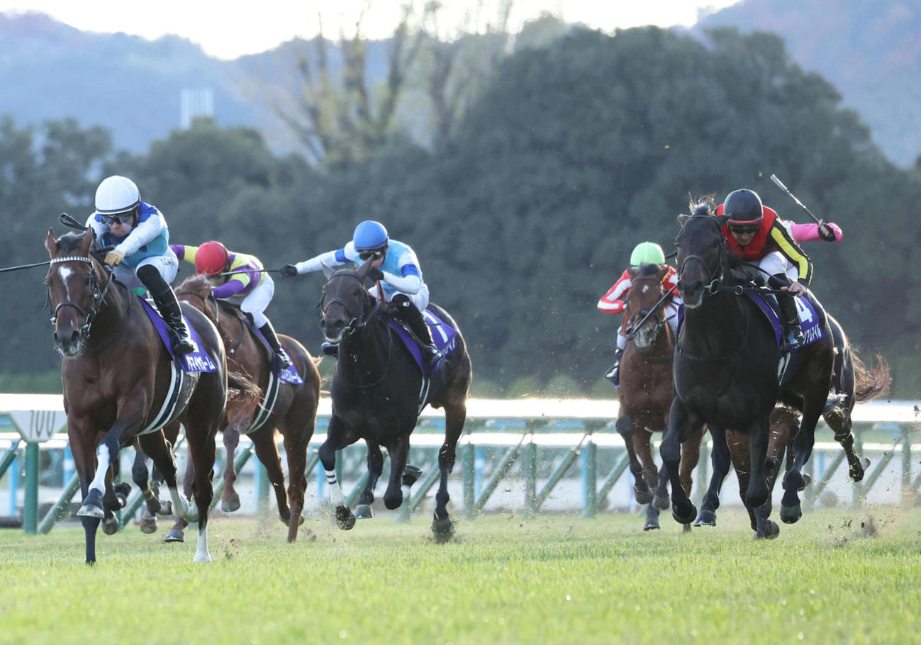 昨年の朝日杯FS、アドマイヤズーム（左端）の2着だったミュージアムマイル（右端）