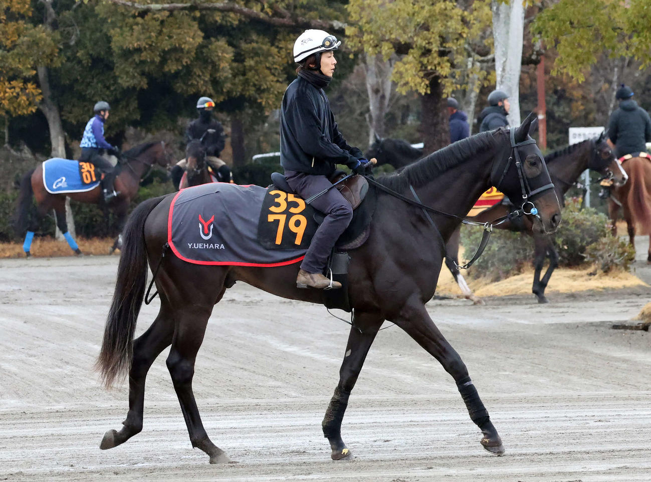 馬場へ向かうピコチャンブラックと石橋騎手（撮影・丹羽敏通）