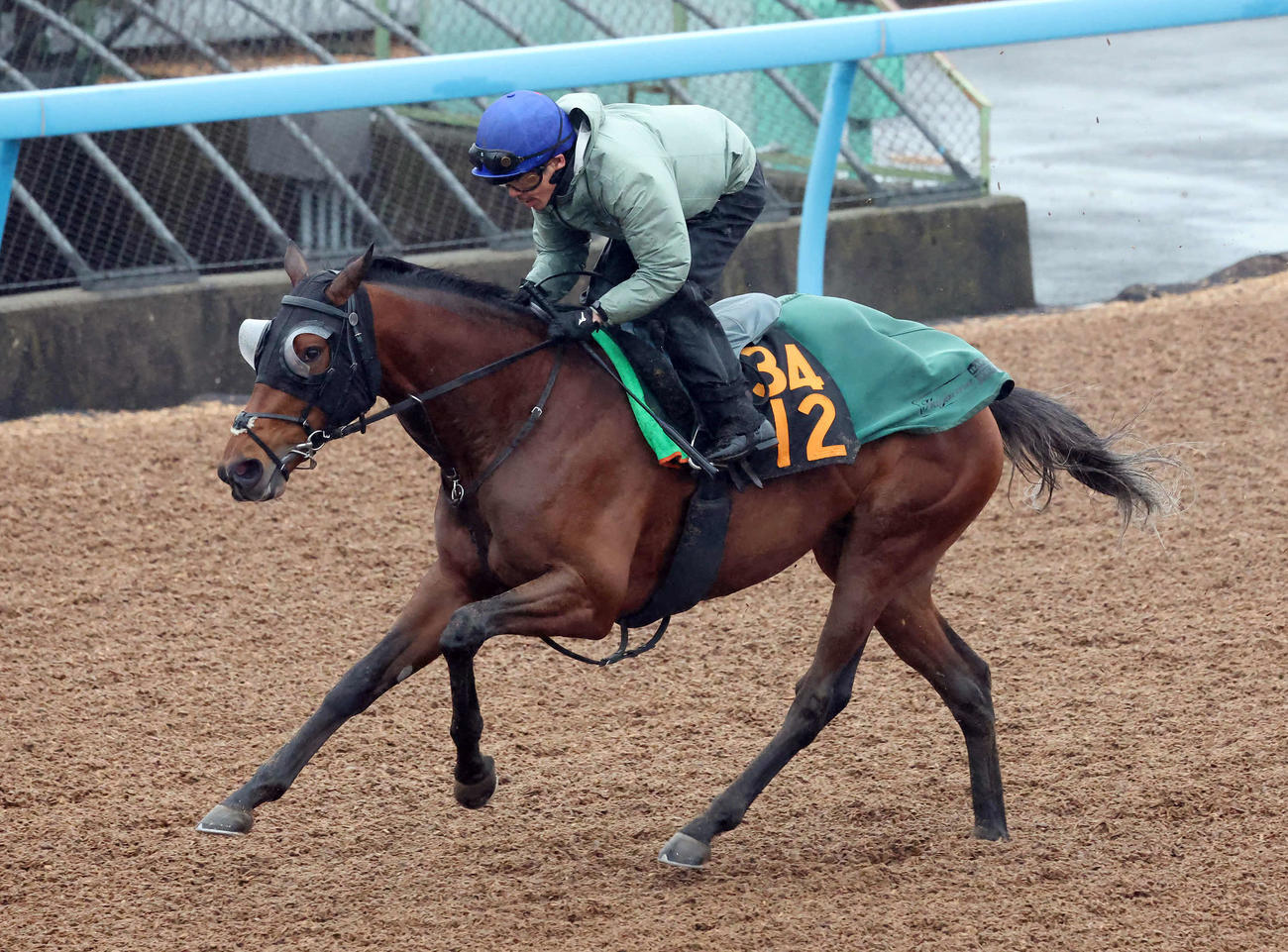 5日、ダノンセンチュリーは戸崎騎手を背に美浦ウッドで追い切られた