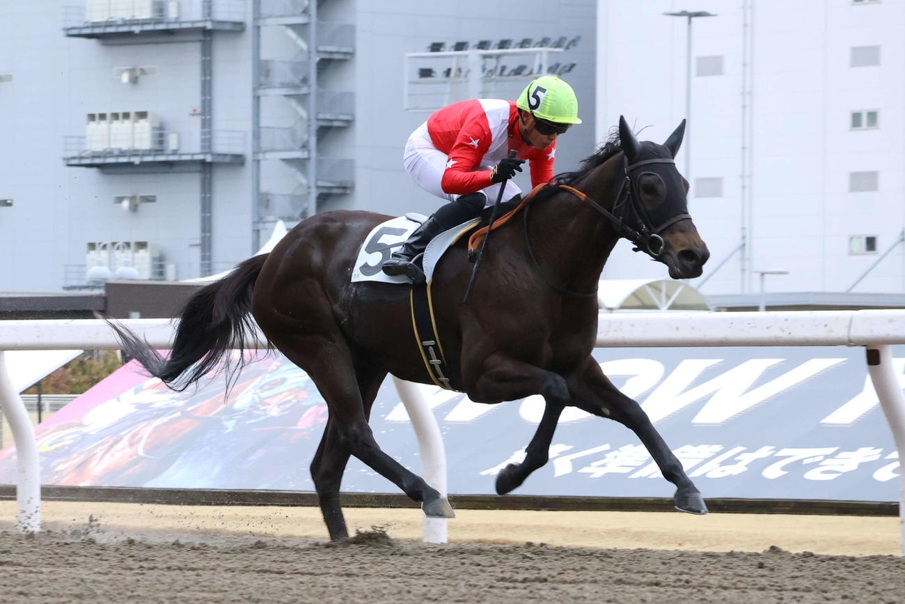 ラジエーションが勝ち、騎乗した川崎の野畑凌騎手は地方競馬通算300勝を達成