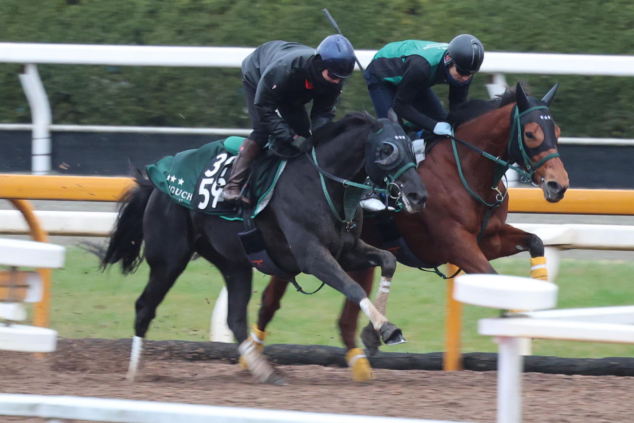 Cウッド併せ馬で時計を出したクラウディアイ（左）