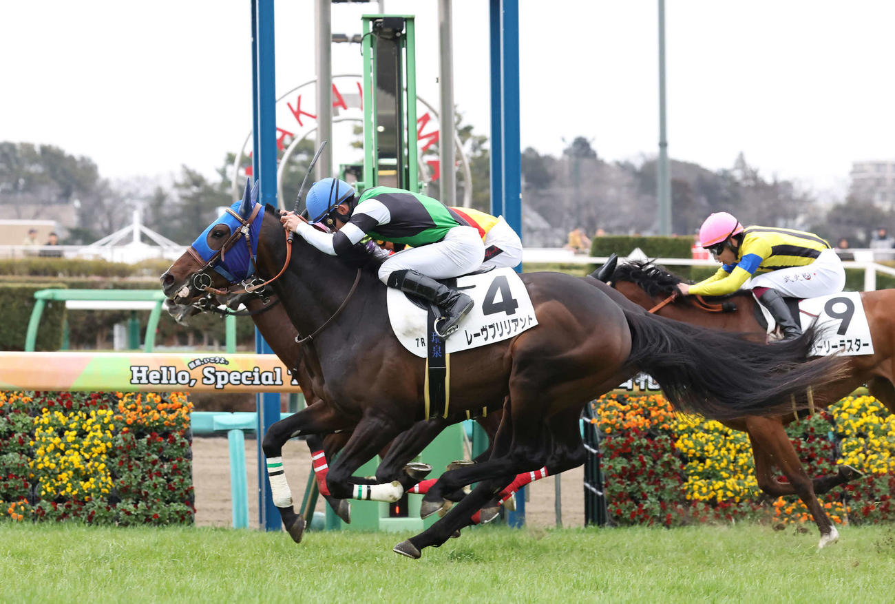 中山7R、3歳1勝クラスを制したレーヴブリリアントと舟山騎手（撮影・丹羽敏通）