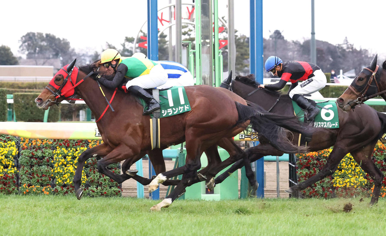 中山11R、中山牝馬Sを制したシランケドとM・デムーロ騎手（撮影・丹羽敏通）