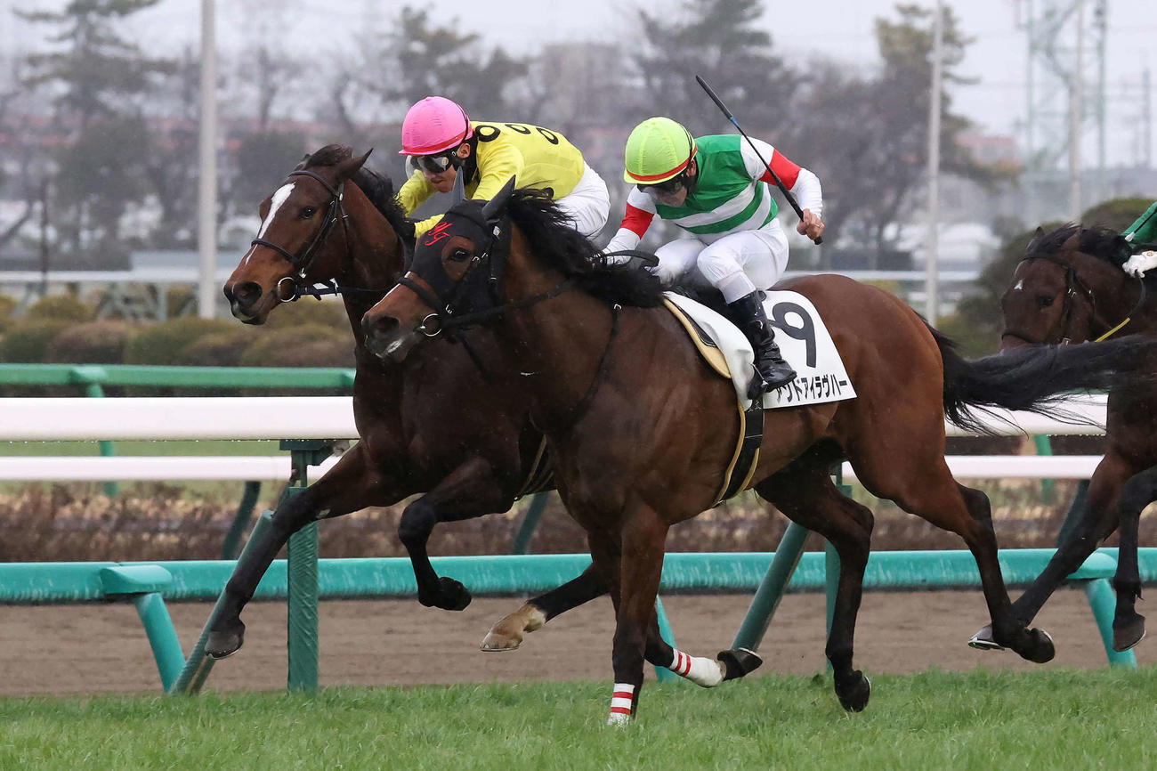 中山12R、4歳上1勝クラスを制したアンドアイラヴハーと戸崎騎手（手前）。奥は2着デイジー（撮影・丹羽敏通）