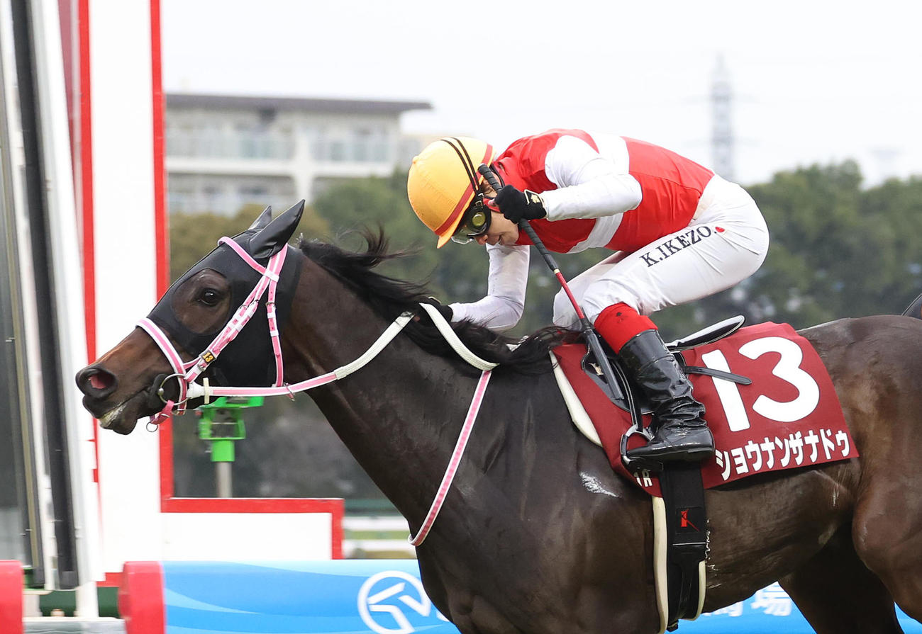 直線抜け出してフィリーズRを制したショウナンザナドゥ。鞍上の池添騎手はガッツポーズを見せる