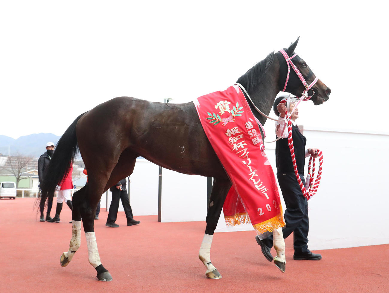 阪神11R、フィリーズRを制したショウナンザナドゥ（撮影・白石智彦）