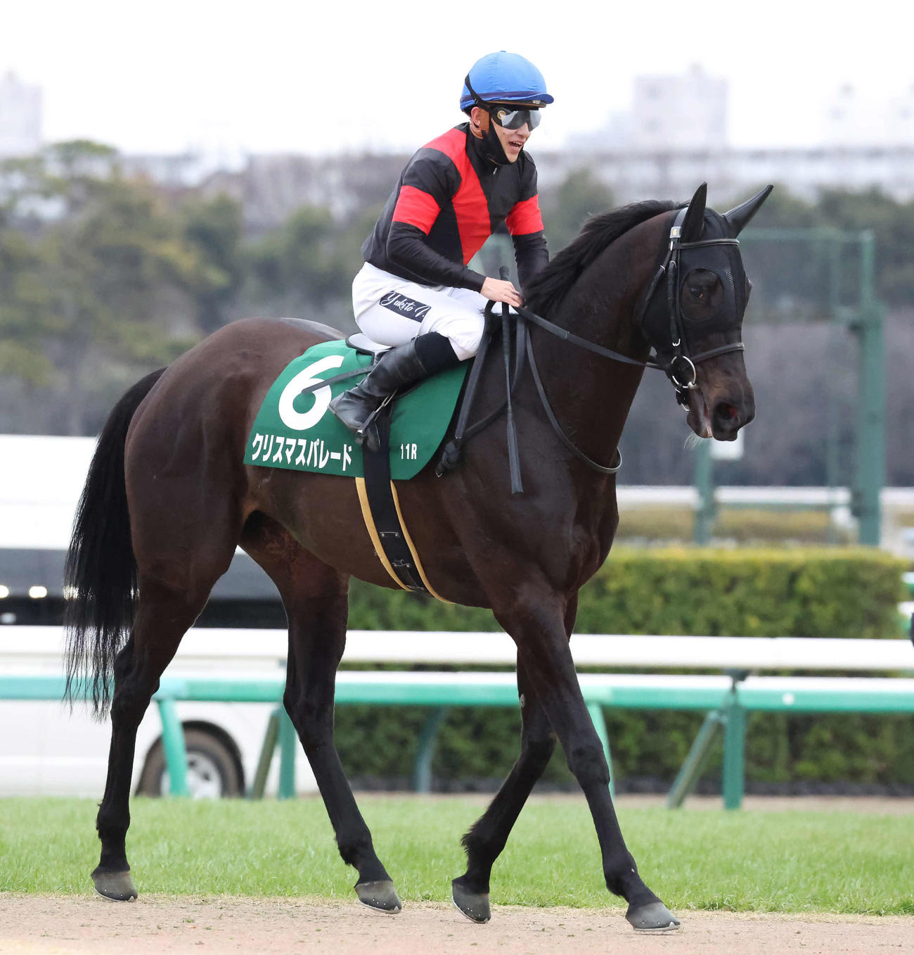中山11R、中山牝馬Sで3着に敗れたクリスマスパレード（撮影・丹羽敏通）