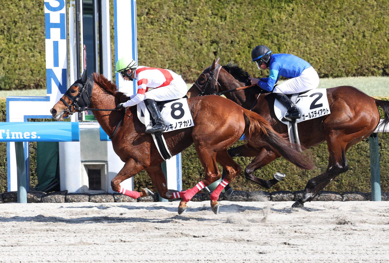 阪神1R、ツキノアカリに騎乗してうれしいJRA初勝利を挙げた田山騎手（撮影・白石智彦）