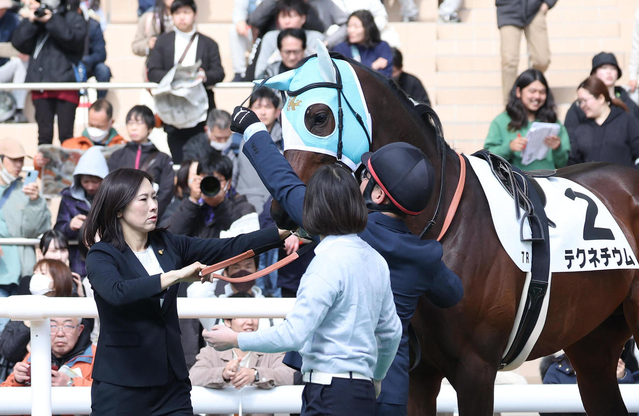 阪神7R、初陣となるテクネチウムの馬装を整える前川師（左）（撮影・白石智彦）