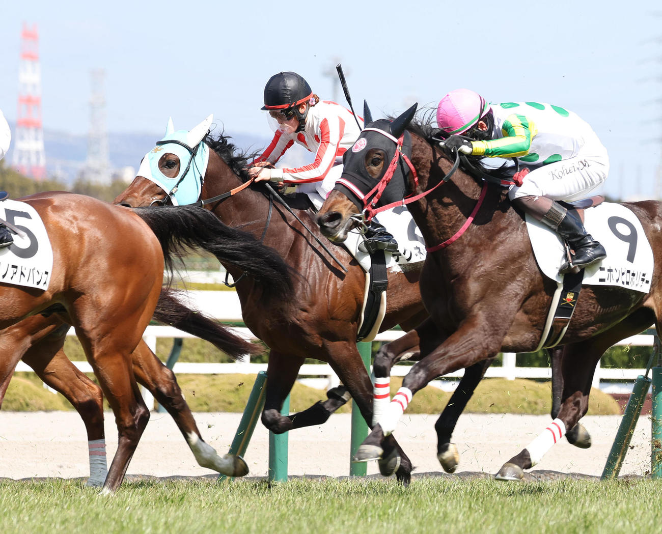 阪神7R、永島騎手が騎乗して8着でレースを終えた前川師の管理馬テクネチウム（奥）（撮影・白石智彦）