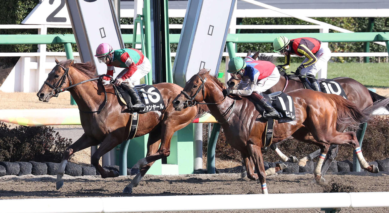 総武Sを制したヴァンヤールと戸崎騎手（撮影・丹羽敏通）