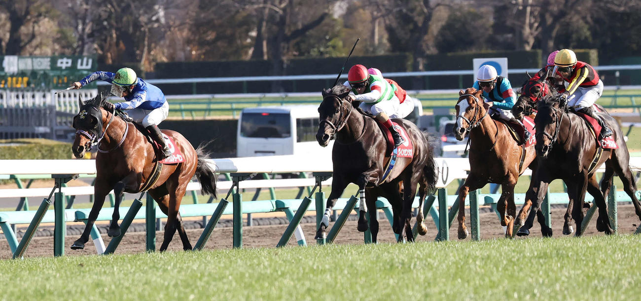 弥生賞制したファウストラーゼンと杉原騎手（左）。中央は2着ヴィンセンシオ、右端4着ミュージアムマイル