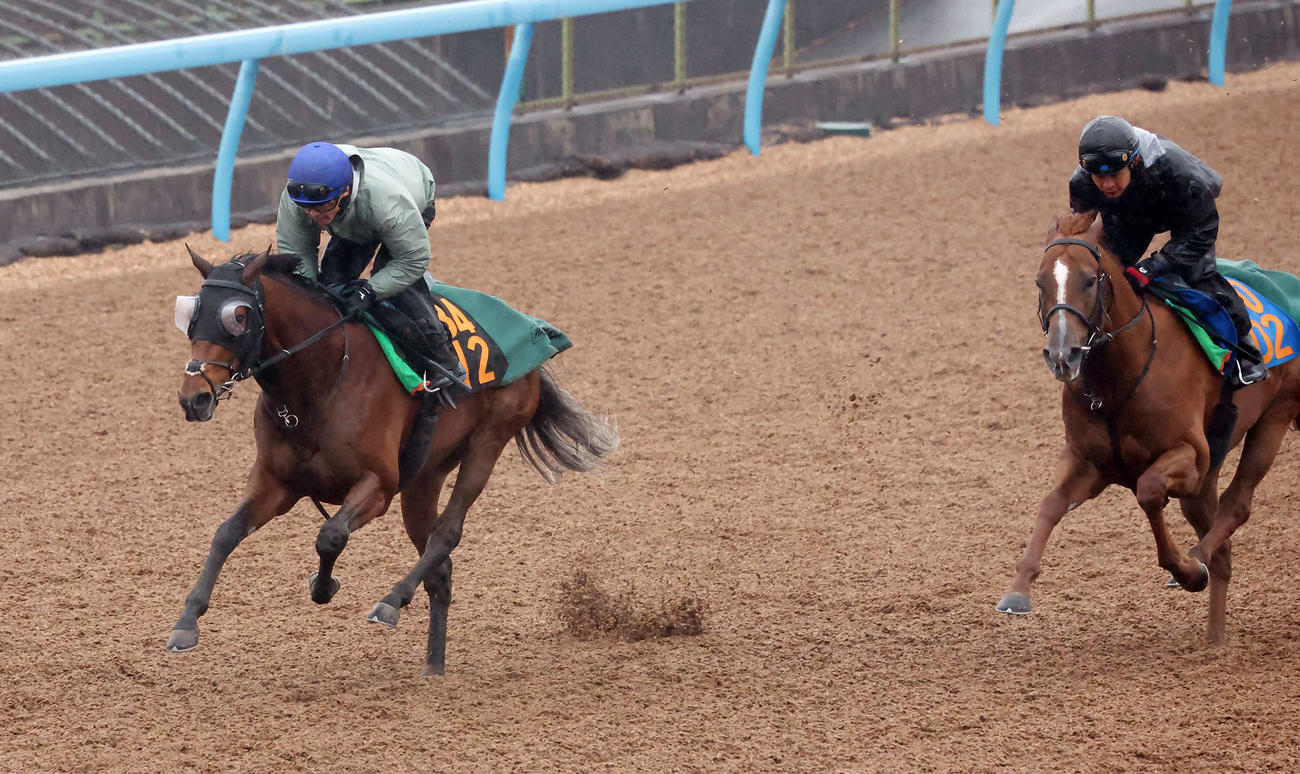 5日、ダノンセンチュリー（左）は戸崎騎手を背に美浦ウッドを併せ馬で追い切られた