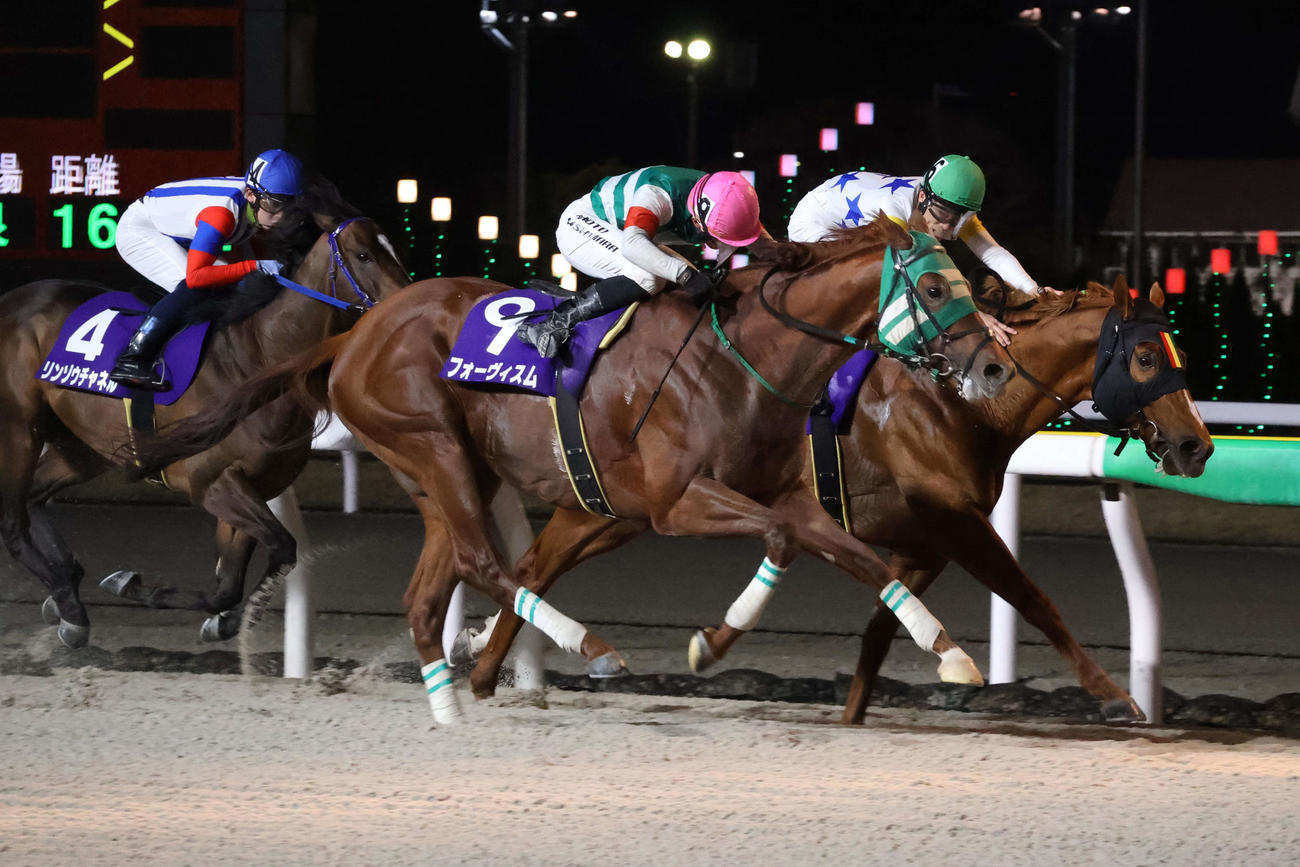 ゴール前で差し切り京成盃グランドマイラーズを制したフォーヴィスム