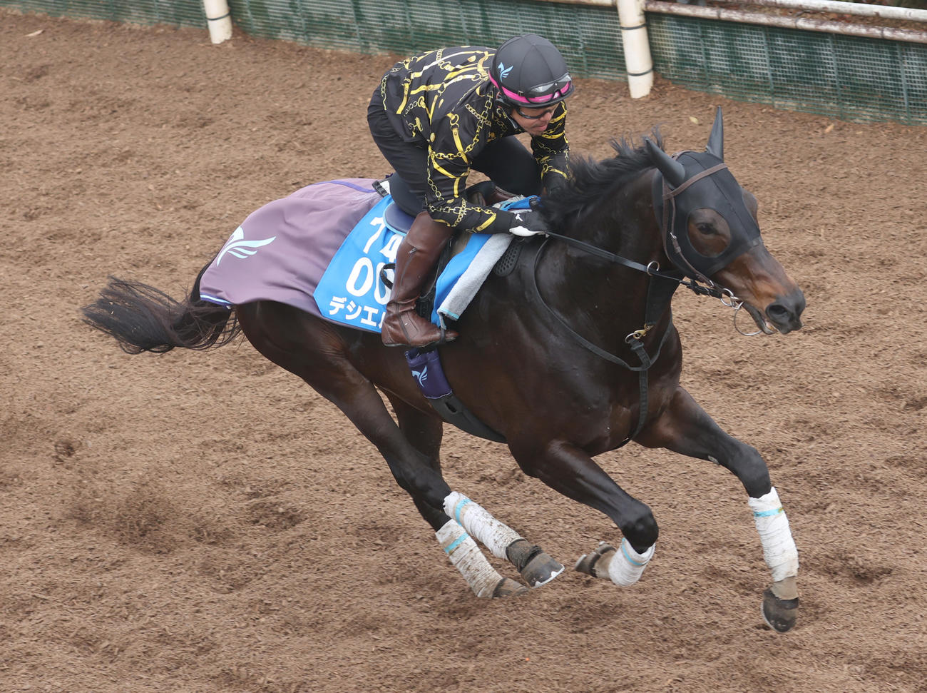 坂路で追い切るデシエルト