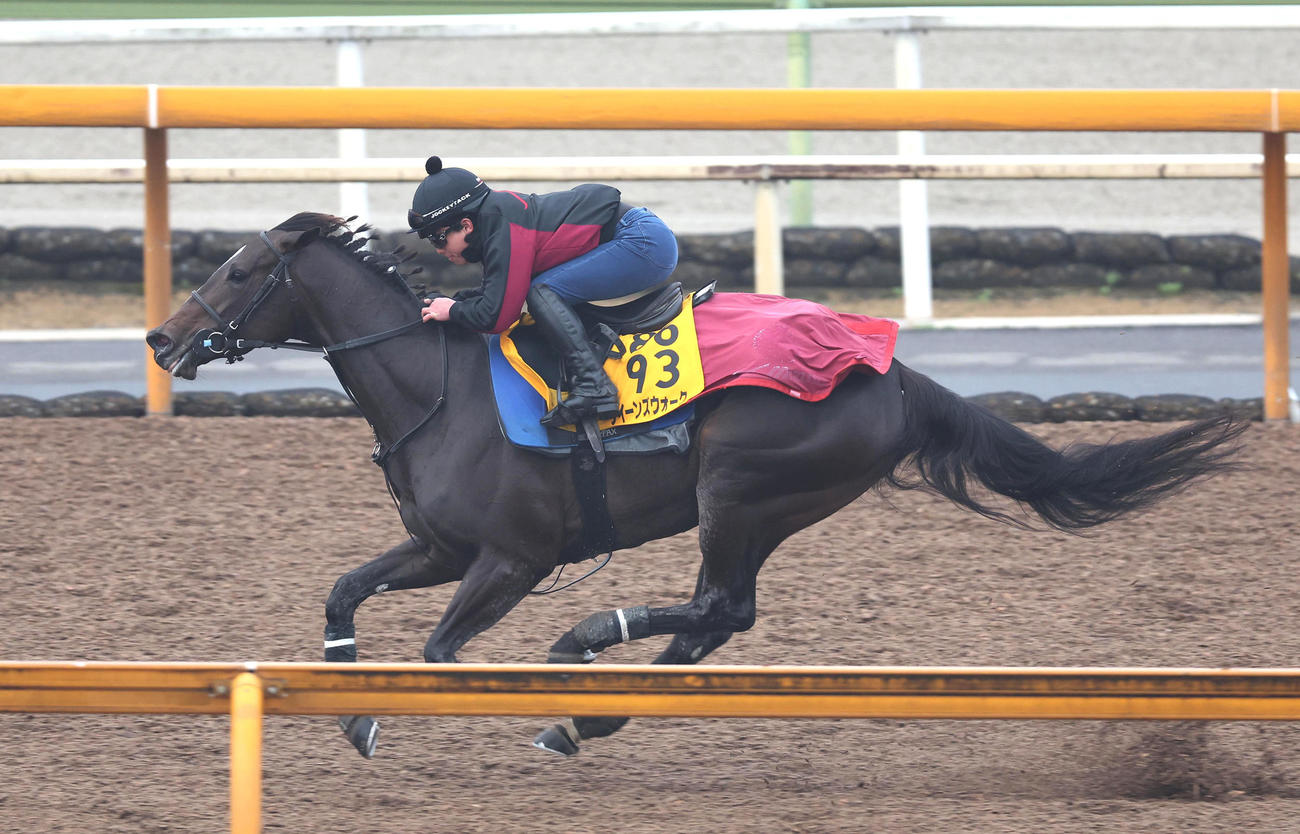 Cウッドを単走で追い切るクイーンズウォーク（撮影・白石智彦）