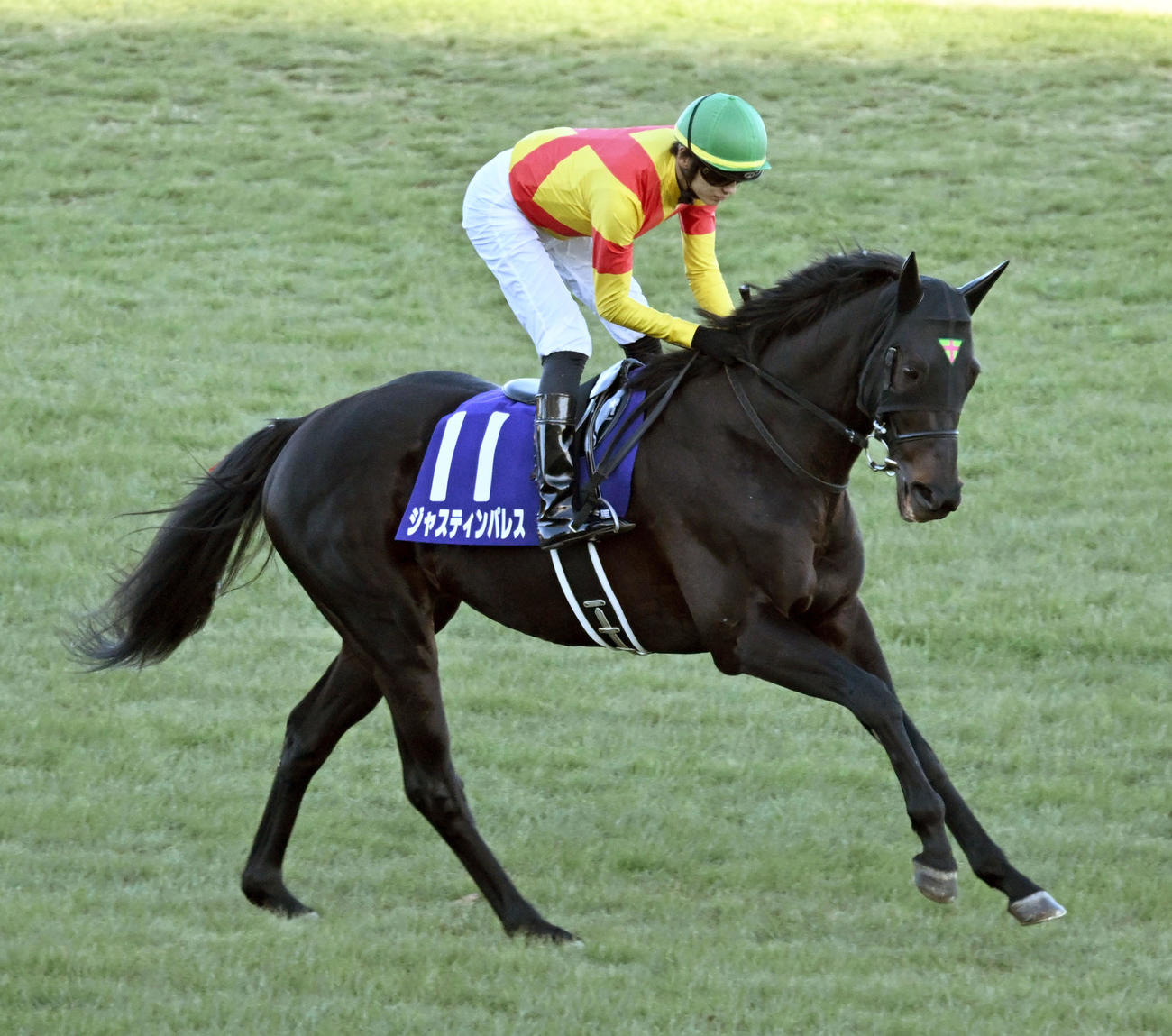 ジャスティンパレス（2024年12月22日撮影）
