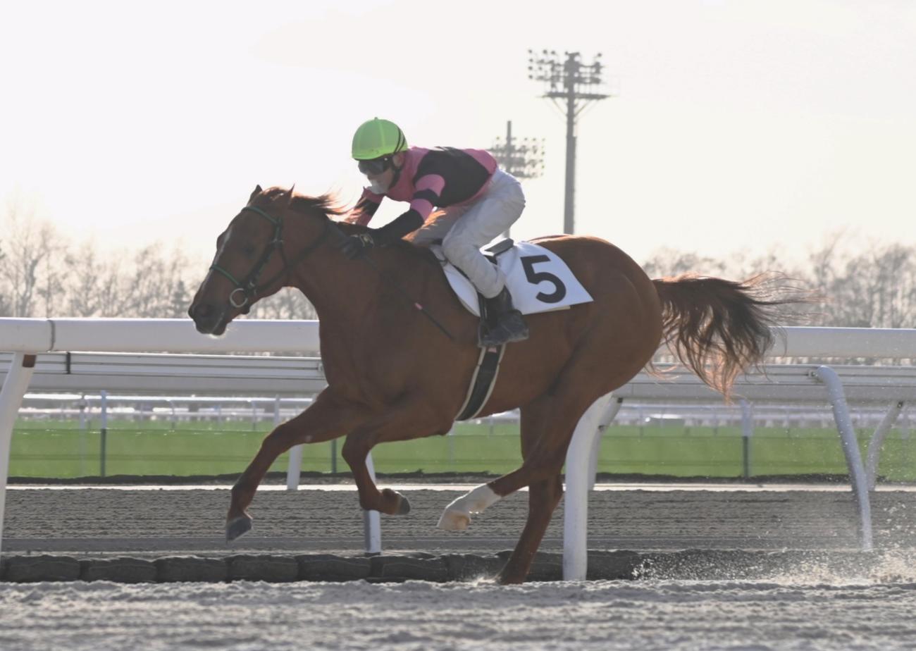 27R800メートル48秒6をマークしたベストグリーン（ホッカイドウ競馬提供）