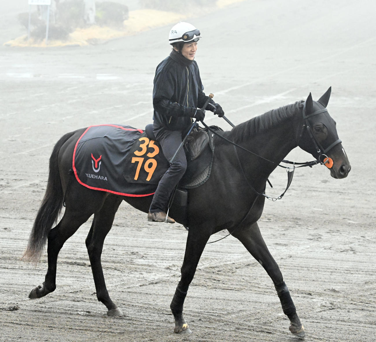 馬場に向かうピコチャンブラック（撮影・千葉一成）