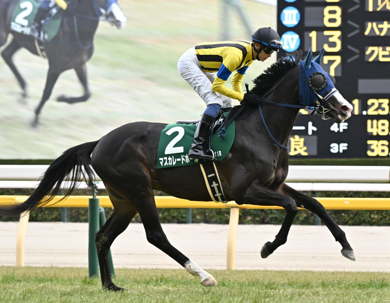 東京11R、共同通信杯に出走したマスカレードボールと坂井騎手（撮影・千葉一成）