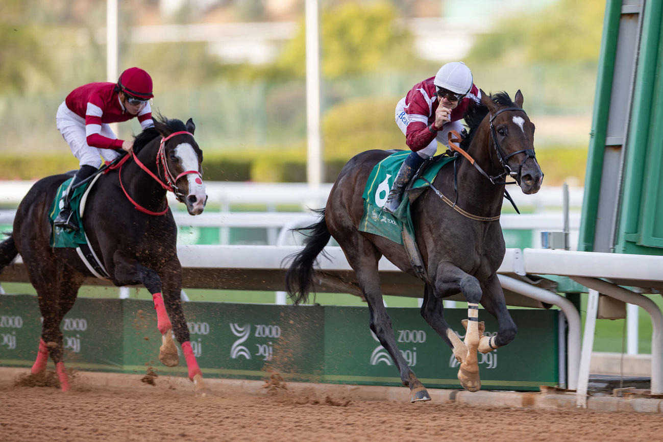 サウジダービーを制したゴールデンヴェコマ（C）Jockey　Club　of　Saudi　Arabia／Neville　Hopwood