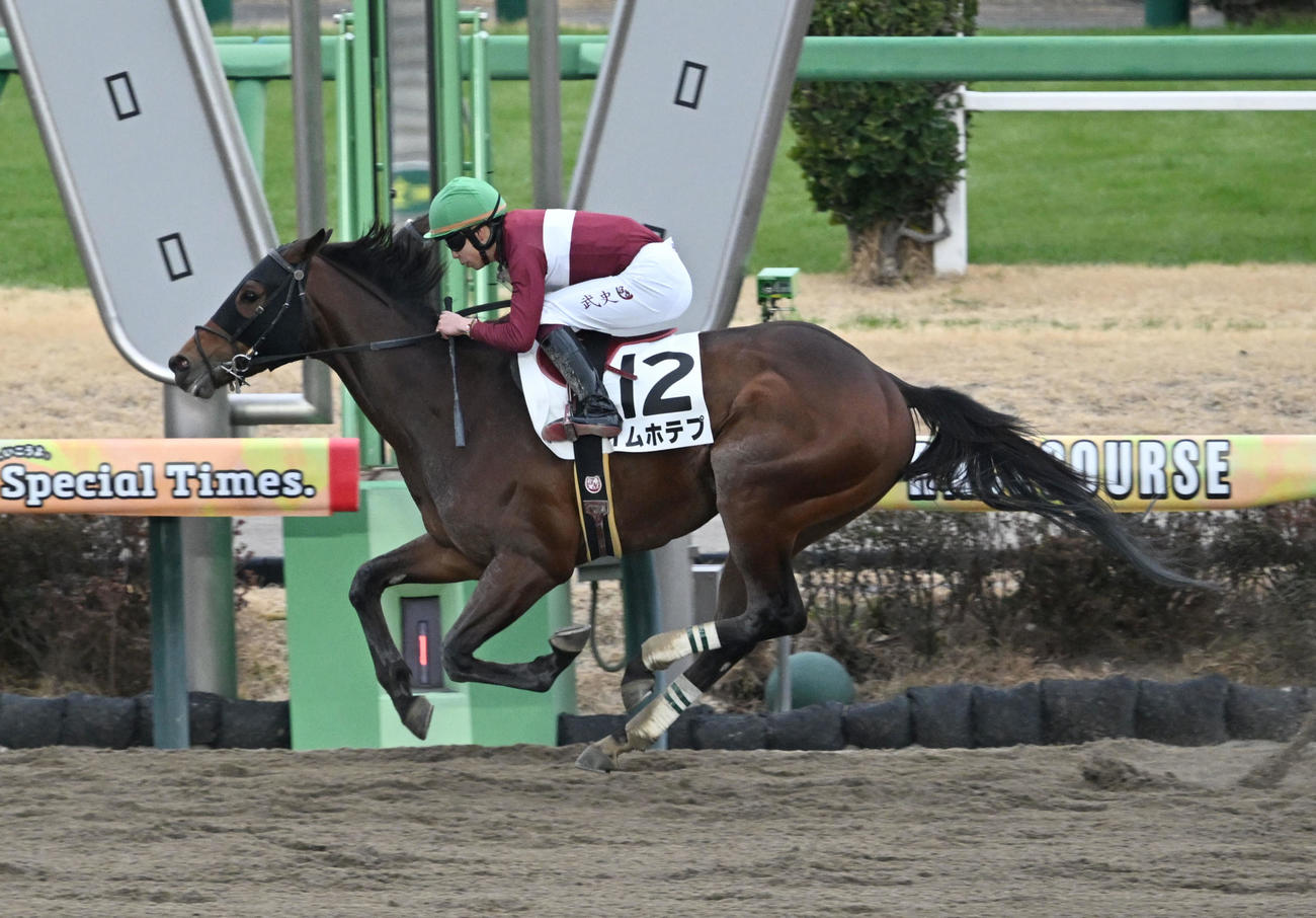 中山7R、3歳1勝クラスを制したイムホテプと横山武騎手（撮影・千葉一成）