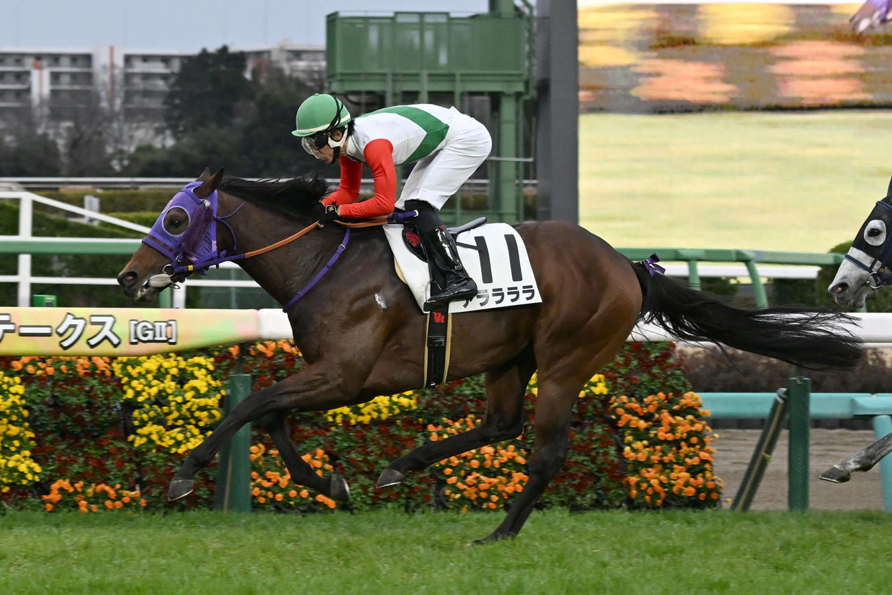 4歳上2勝クラスを制したアララララと丹内騎手（中央）（撮影・千葉一成）