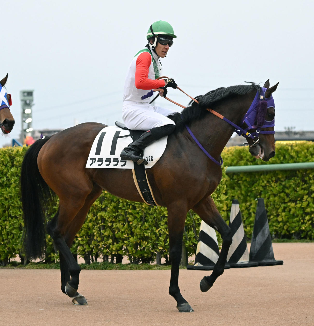 4歳上2勝クラスを制したアララララと丹内騎手（中央）（撮影・千葉一成）