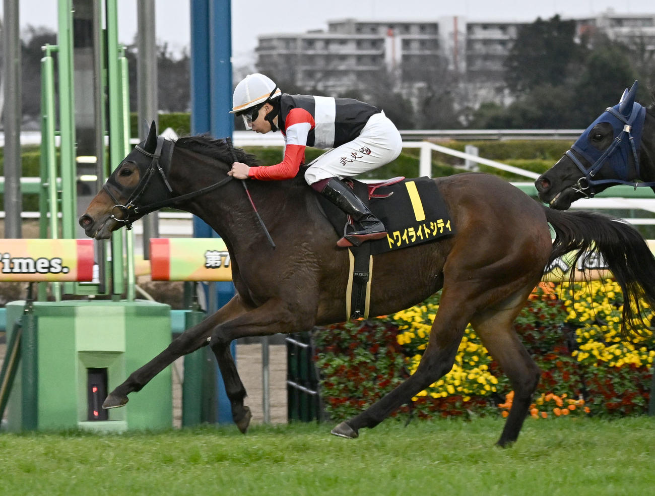 アネモネSを制したトワイライトシティと横山武騎手（撮影・千葉一成）