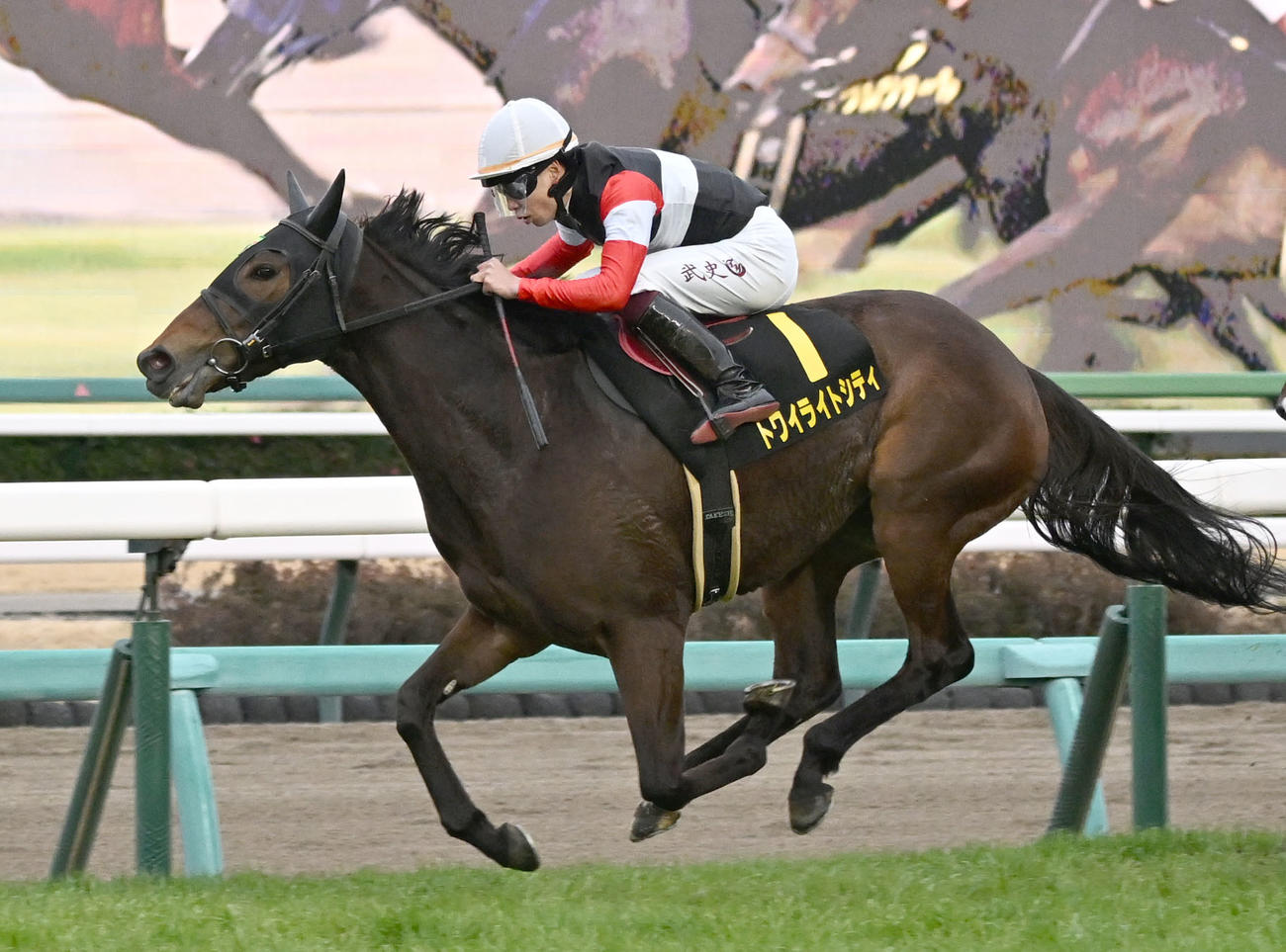 アネモネSを制したトワイライトシティと横山武騎手（撮影・千葉一成）