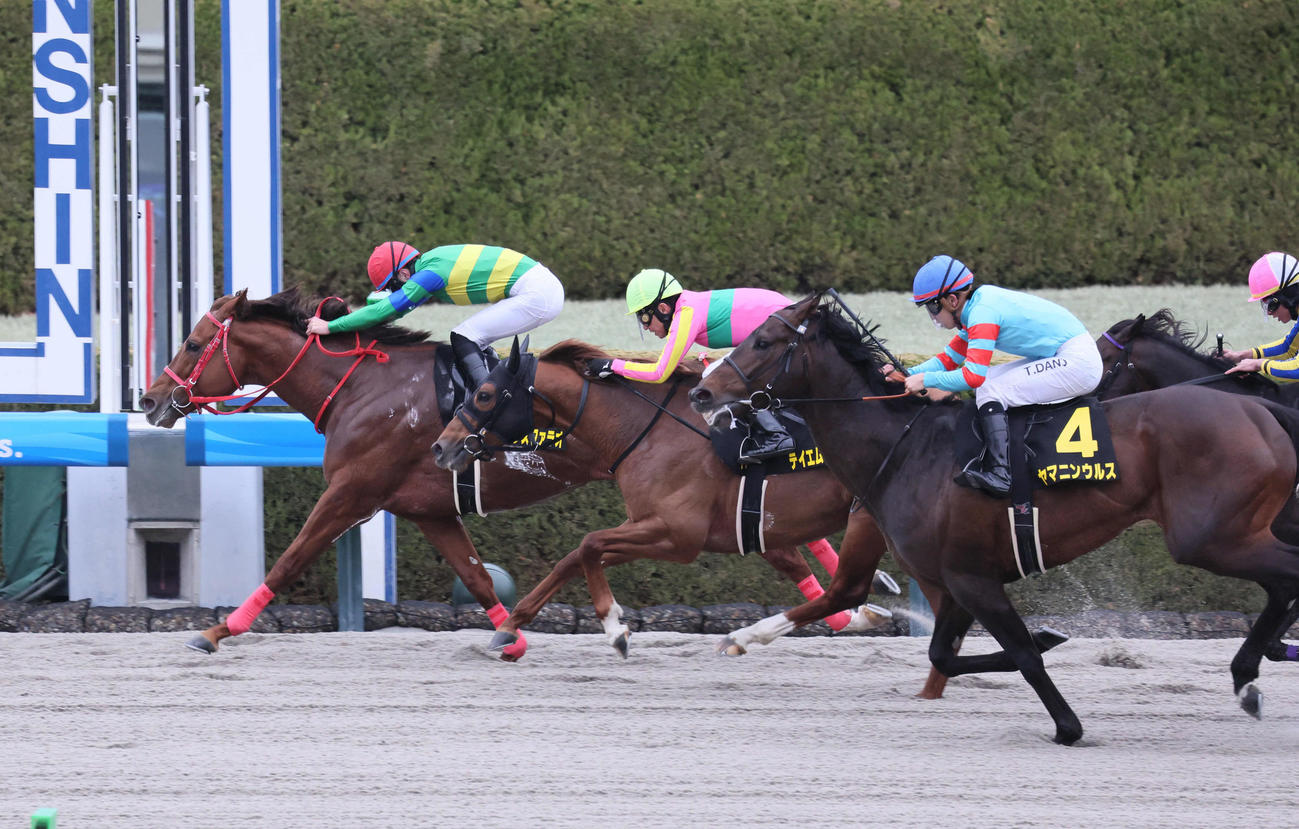 コーラルS2着のテイエムリステット（中）。左は勝ったアドバンスファラオ（撮影・宮崎幸一）