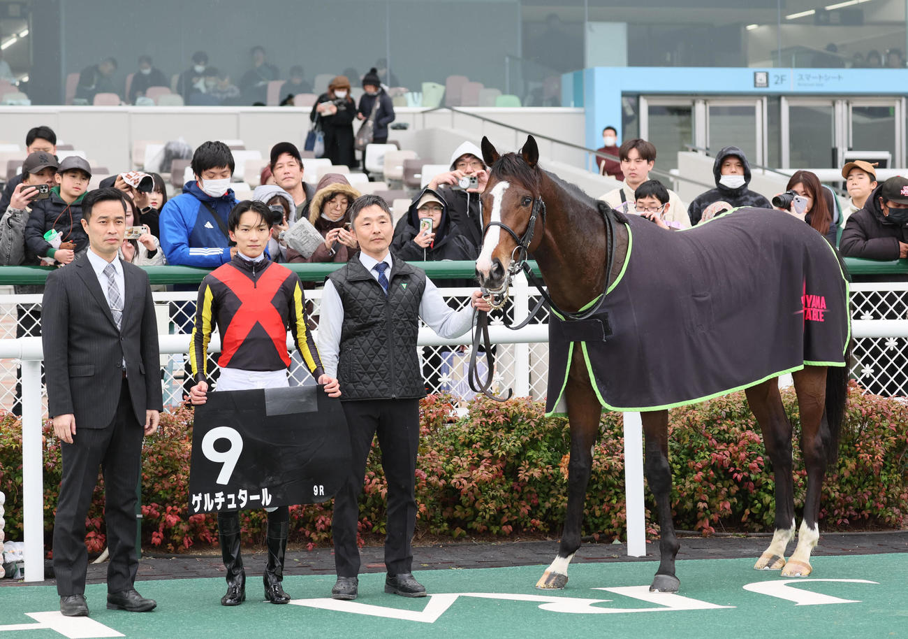 阪神9R　ゆきやなぎ賞を制したゲルチュタールと坂井騎手（撮影・宮崎幸一）