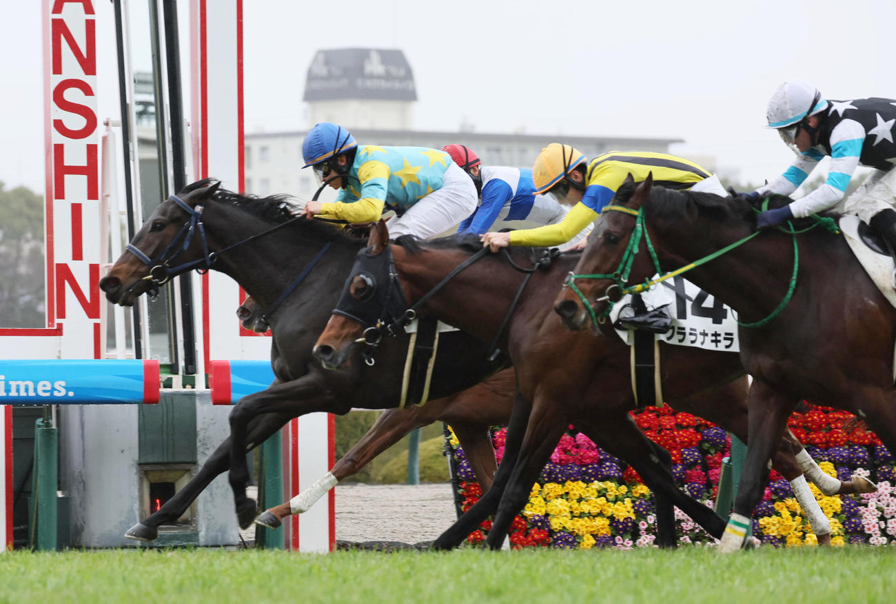 阪神5R 3歳未勝利戦を制したヴィーナスバブル（左）（撮影・宮崎幸一）