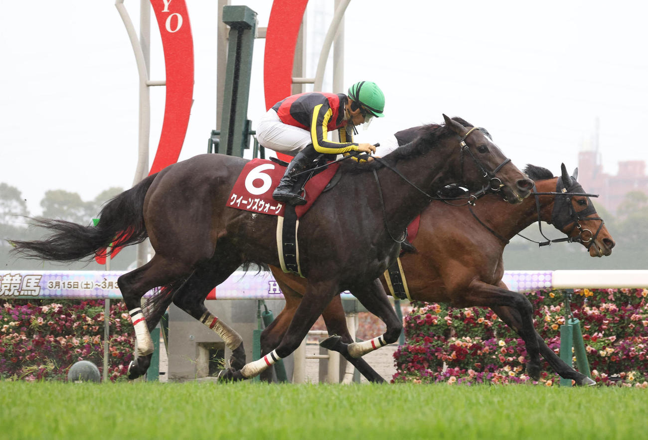 ゴール前でホウオウビスケッツ（右）を差し切り金鯱賞を制したクイーンズウォーク（撮影・白石智彦）