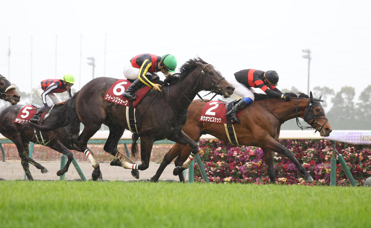 ゴール前でホウオウビスケッツ（右）を差し切ってを金鯱賞を制したクイーンズウォーク（撮影・白石智彦）
