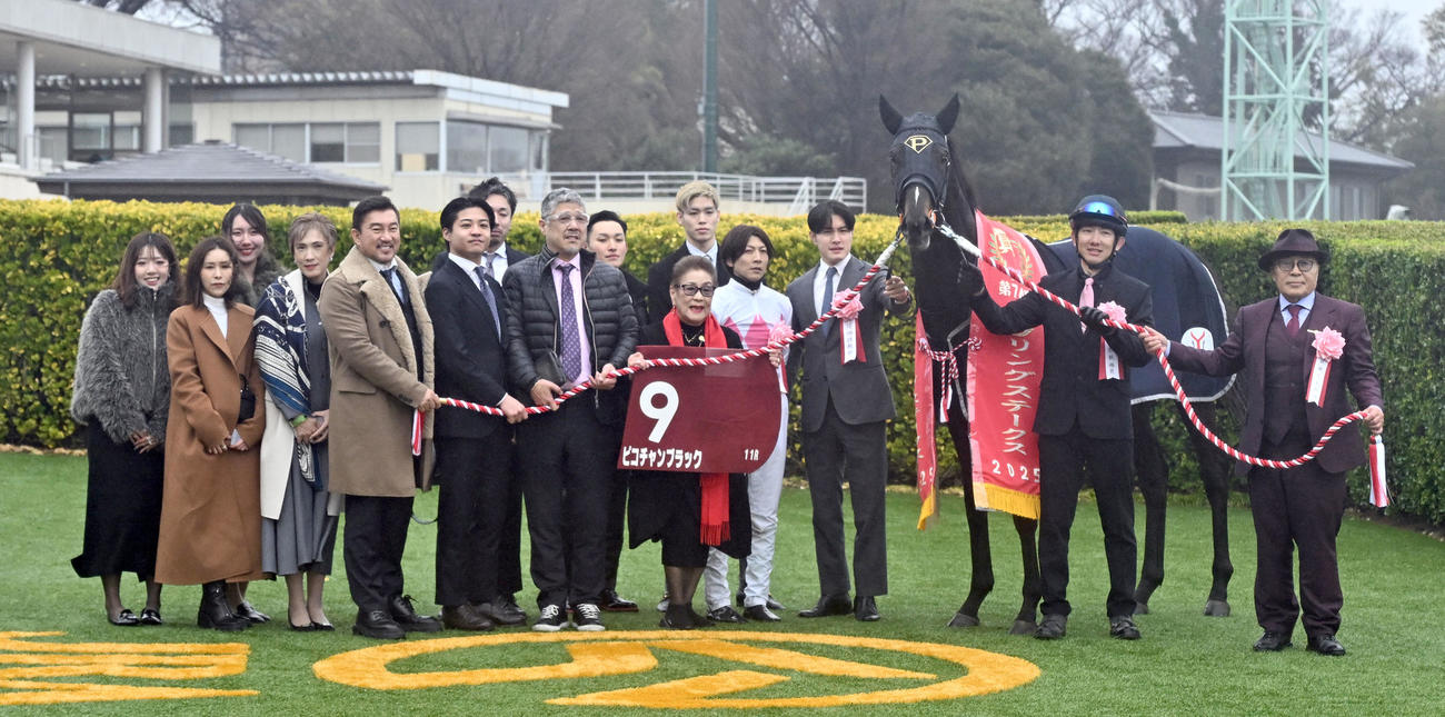 スプリングSを制したピコチャンブラックと石橋騎手と上原佑師（右から3人目）（撮影・千葉一成）
